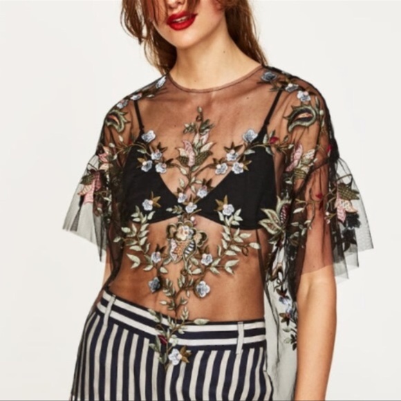 Zara Sheer Embroidered Top - Picture 1 of 6